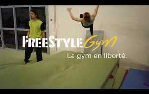 FreeStyle Gym
